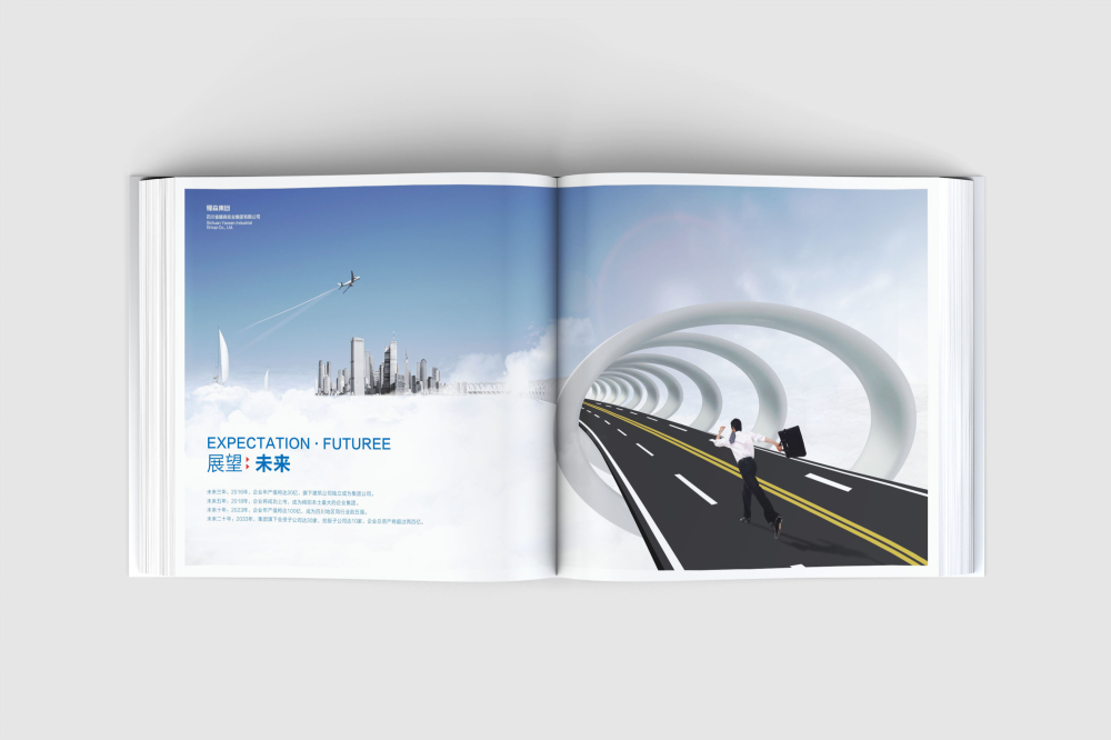 鸡泽县画册设计